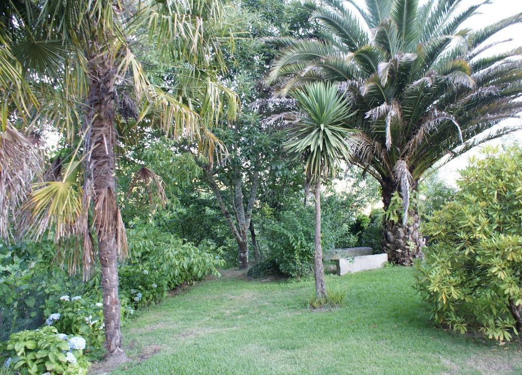 Quinta De Canhoes São Pedro do Sul Exterior foto