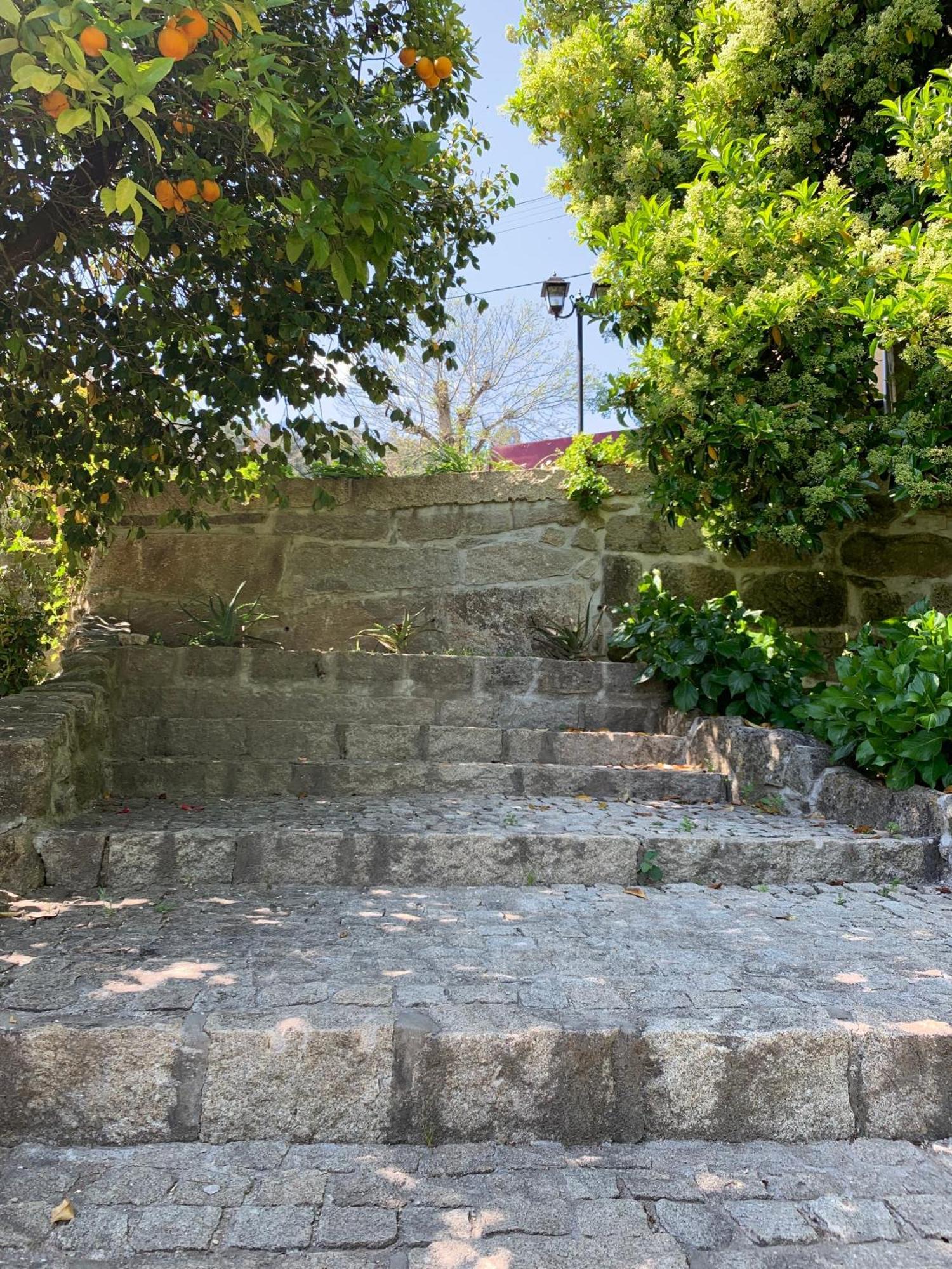Quinta De Canhoes São Pedro do Sul Exterior foto